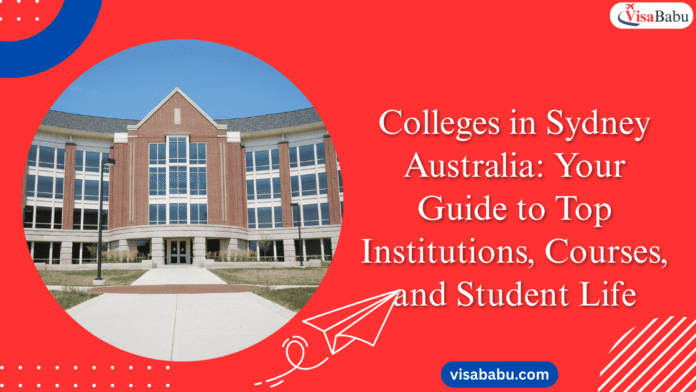 Colleges in Sydney Australia: Your Guide to Top Institutions, Courses, and Student Life