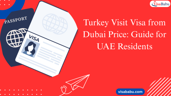 Turkey Visit Visa from Dubai Price: 2025 Guide for UAE Residents
